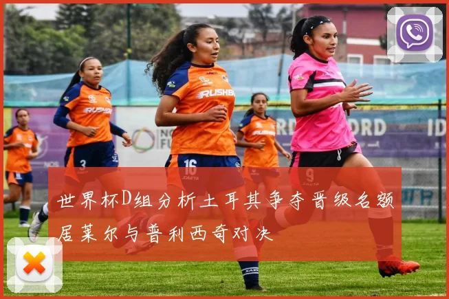 世界杯D组分析土耳其争夺晋级名额居莱尔与普利西奇对决
