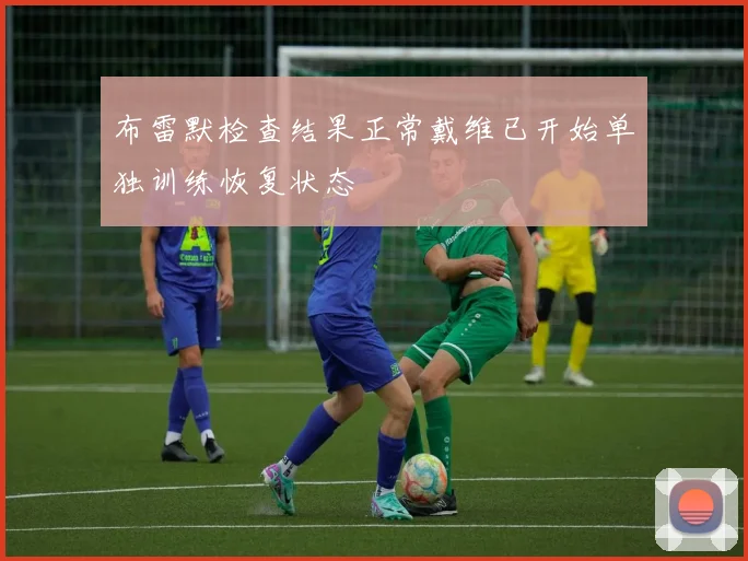 布雷默检查结果正常戴维已开始单独训练恢复状态