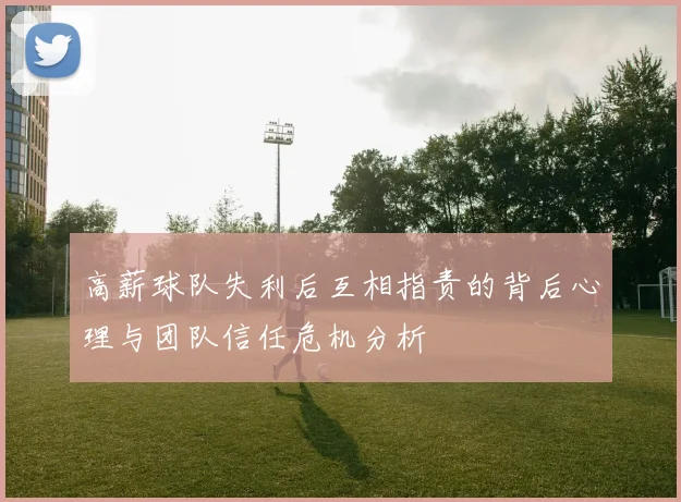 高薪球队失利后互相指责的背后心理与团队信任危机分析